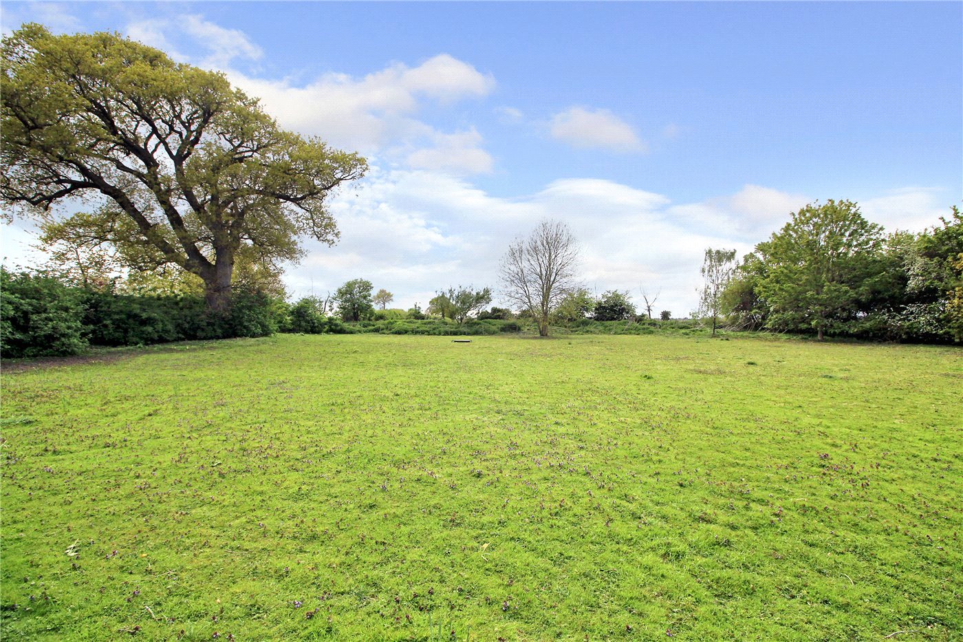 Grounds